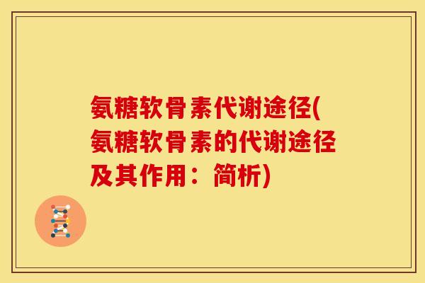 氨糖软骨素代谢途径(氨糖软骨素的代谢途径及其作用：简析)