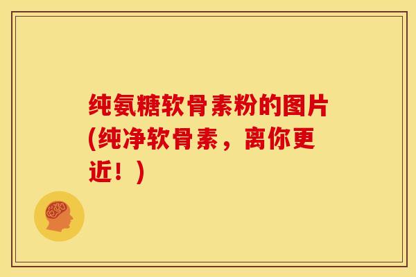 纯氨糖软骨素粉的图片(纯净软骨素，离你更近！)