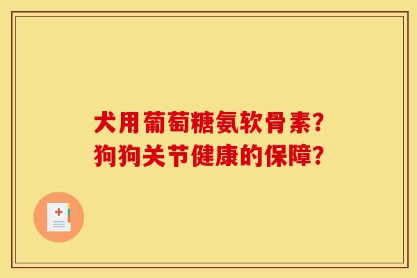 犬用葡萄糖氨软骨素？狗狗关节健康的保障？