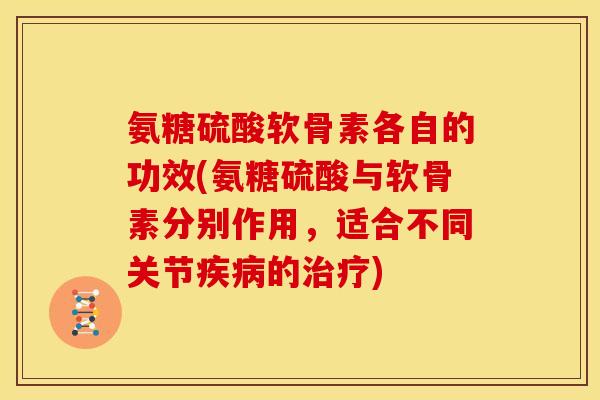氨糖硫酸软骨素各自的功效(氨糖硫酸与软骨素分别作用，适合不同关节的)