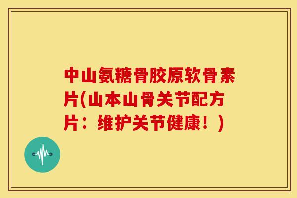 中山氨糖骨胶原软骨素片(山本山骨关节配方片:维护关节健康!) 中山氨糖骨胶原软骨素片(山本山骨关节配方片:维护关节健康!)