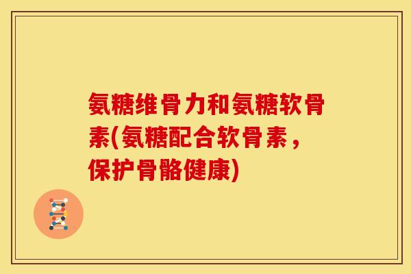 氨糖维骨力和氨糖软骨素(氨糖配合软骨素，保护骨骼健康)