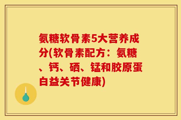 氨糖软骨素5大营养成分(软骨素配方：氨糖、钙、硒、锰和胶原蛋白益关节健康)