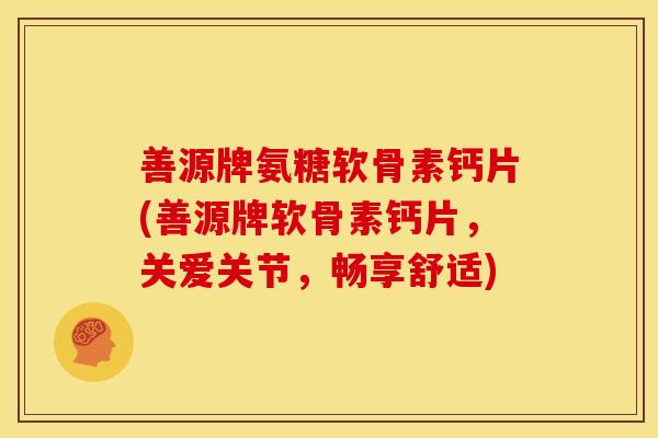 善源牌氨糖软骨素钙片(善源牌软骨素钙片，关爱关节，畅享舒适)