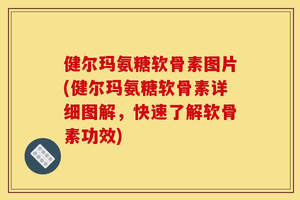 健尔玛氨糖软骨素图片(健尔玛氨糖软骨素详细图解，快速了解软骨素功效)
