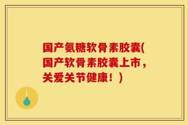 国产氨糖软骨素胶囊(国产软骨素胶囊上市，关爱关节健康！)