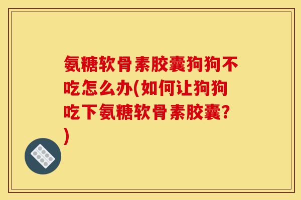 氨糖软骨素胶囊狗狗不吃怎么办(如何让狗狗吃下氨糖软骨素胶囊？)