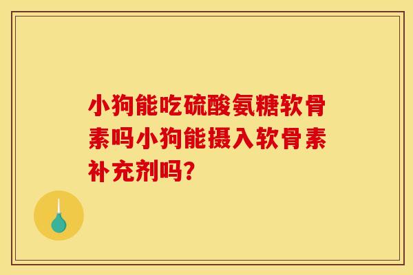 小狗能吃硫酸氨糖软骨素吗小狗能摄入软骨素补充剂吗？