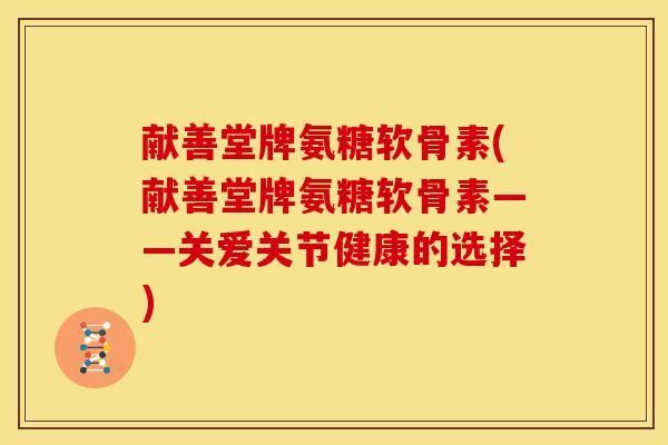 献善堂牌氨糖软骨素(献善堂牌氨糖软骨素——关爱关节健康的选择)