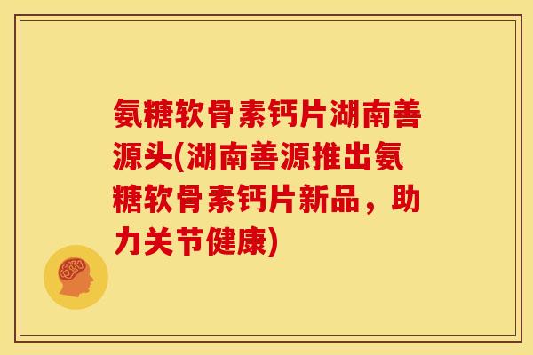 氨糖软骨素钙片湖南善源头(湖南善源推出氨糖软骨素钙片新品，助力关节健康)