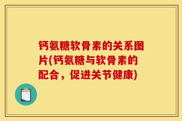 钙氨糖软骨素的关系图片(钙氨糖与软骨素的配合，促进关节健康)