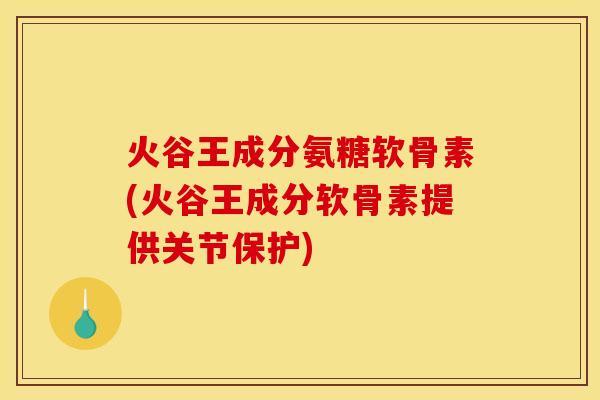 火谷王成分氨糖软骨素(火谷王成分软骨素提供关节保护)