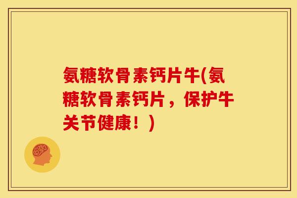 氨糖软骨素钙片牛(氨糖软骨素钙片，保护牛关节健康！)
