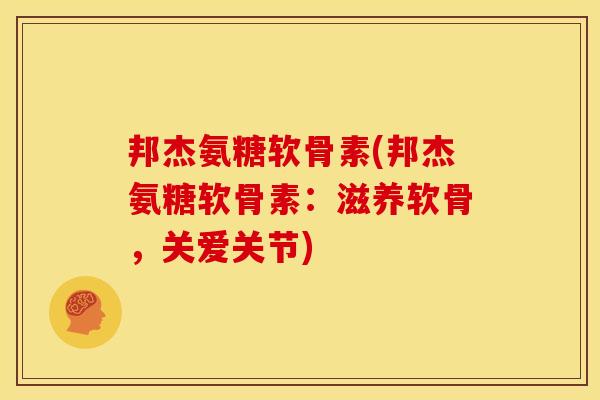 邦杰氨糖软骨素(邦杰氨糖软骨素：滋养软骨，关爱关节)