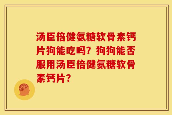 汤臣倍健氨糖软骨素钙片狗能吃吗？狗狗能否服用汤臣倍健氨糖软骨素钙片？