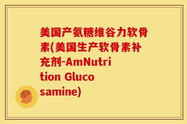 美国产氨糖维谷力软骨素(美国生产软骨素补充剂-AmNutrition Glucosamine)