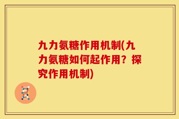 九力氨糖作用机制(九力氨糖如何起作用？探究作用机制)