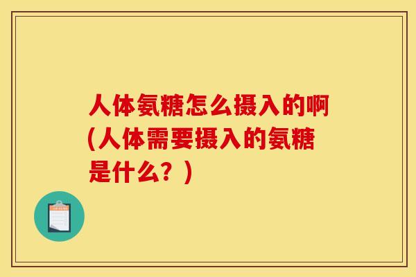 人体氨糖怎么摄入的啊(人体需要摄入的氨糖是什么？)