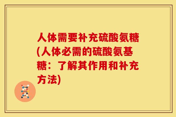 人体需要补充硫酸氨糖(人体必需的硫酸氨基糖：了解其作用和补充方法)
