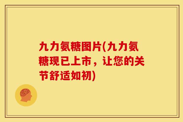 九力氨糖图片(九力氨糖现已上市，让您的关节舒适如初)