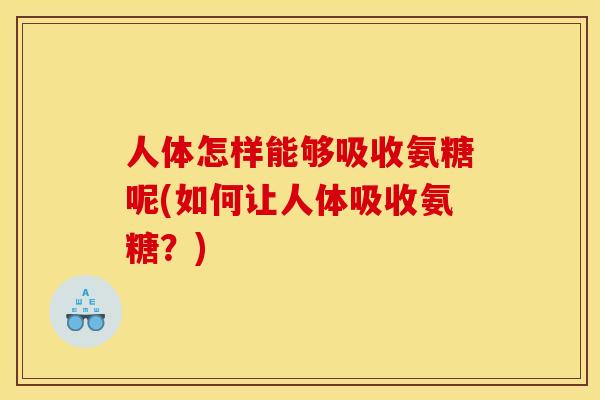 人体怎样能够吸收氨糖呢(如何让人体吸收氨糖？)