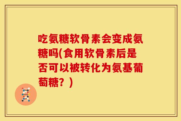 吃氨糖软骨素会变成氨糖吗(食用软骨素后是否可以被转化为氨基葡萄糖？)