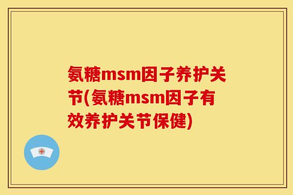 氨糖msm因子养护关节(氨糖msm因子有效养护关节保健)