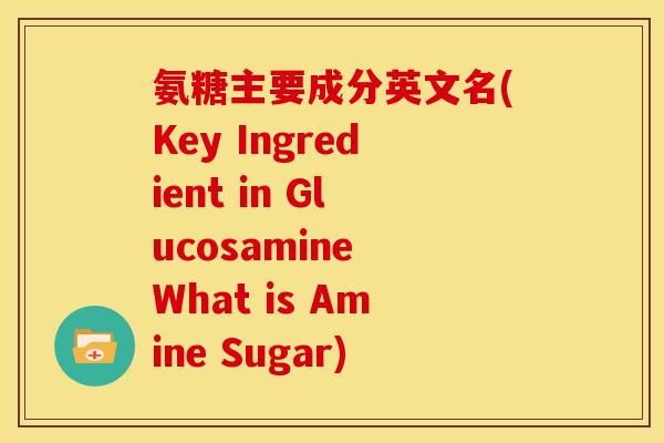 氨糖主要成分英文名(Key Ingredient in Glucosamine What is Amine Sugar)