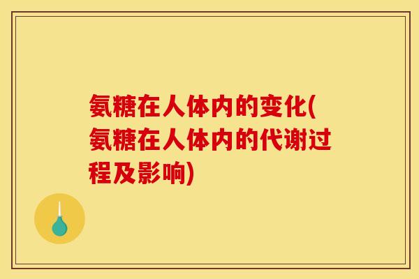 氨糖在人体内的变化(氨糖在人体内的代谢过程及影响)