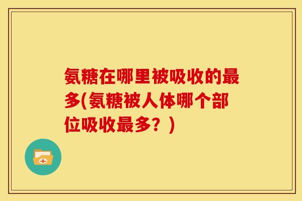 氨糖在哪里被吸收的最多(氨糖被人体哪个部位吸收最多？)