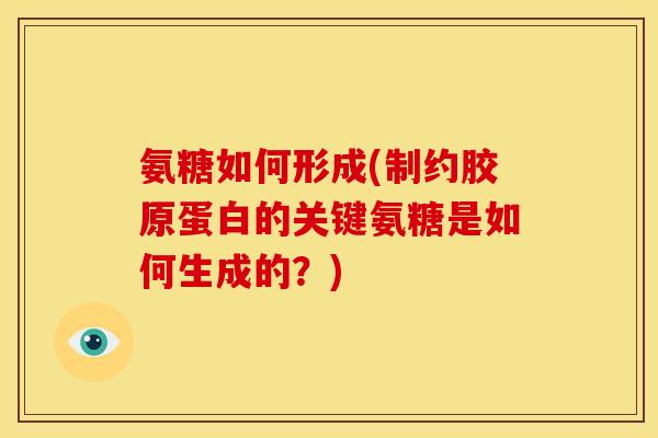 氨糖如何形成(制约胶原蛋白的关键氨糖是如何生成的？)