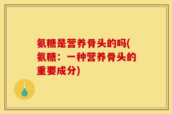 氨糖是营养骨头的吗(氨糖：一种营养骨头的重要成分)