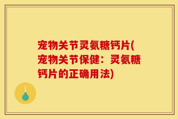 宠物关节灵氨糖钙片(宠物关节保健：灵氨糖钙片的正确用法)