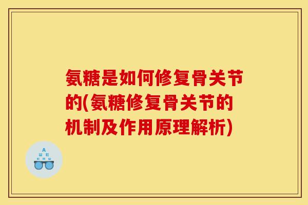 氨糖是如何修复骨关节的(氨糖修复骨关节的机制及作用原理解析)