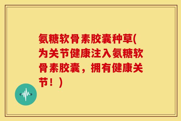 氨糖软骨素胶囊种草(为关节健康注入氨糖软骨素胶囊,拥有健康关节!) 氨糖软骨素胶囊种草(为关节健康注入氨糖软骨素胶囊,拥有健康关节!)