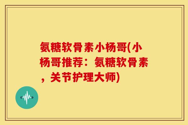氨糖软骨素小杨哥(小杨哥推荐：氨糖软骨素，关节护理大师)