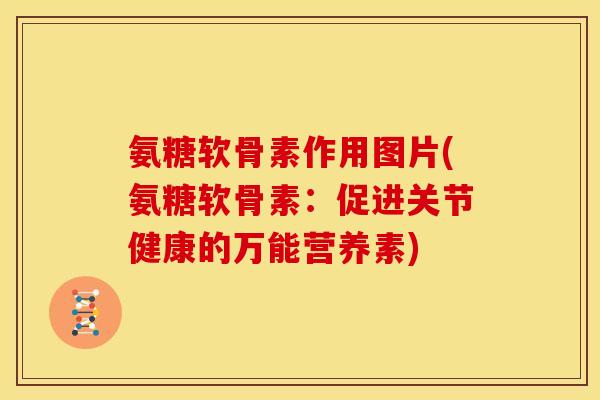 氨糖软骨素作用图片(氨糖软骨素:促进关节健康的万能营养素) 氨糖软骨素作用图片(氨糖软骨素:促进关节健康的万能营养素)