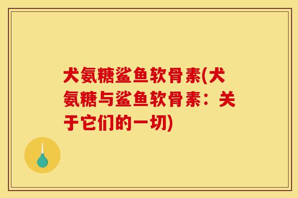 犬氨糖鲨鱼软骨素(犬氨糖与鲨鱼软骨素：关于它们的一切)