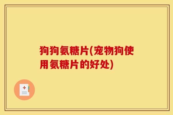狗狗氨糖片(宠物狗使用氨糖片的好处)