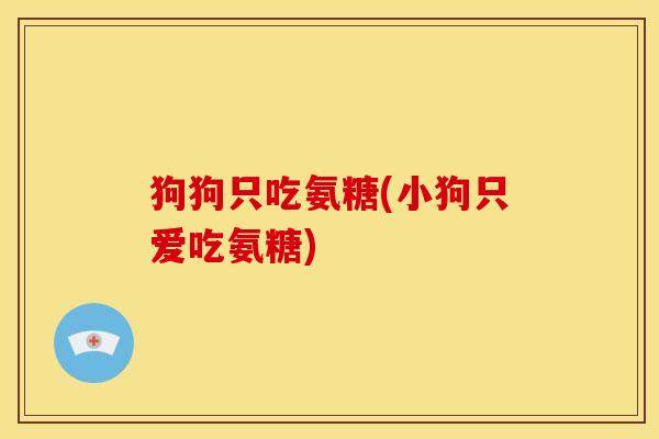 狗狗只吃氨糖(小狗只爱吃氨糖) 狗狗只吃氨糖(小狗只爱吃氨糖)