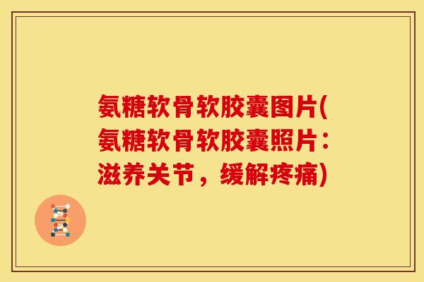 氨糖软骨软胶囊图片(氨糖软骨软胶囊照片：滋养关节，缓解疼痛)