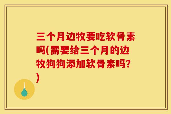 三个月边牧要吃软骨素吗(需要给三个月的边牧狗狗添加软骨素吗？)