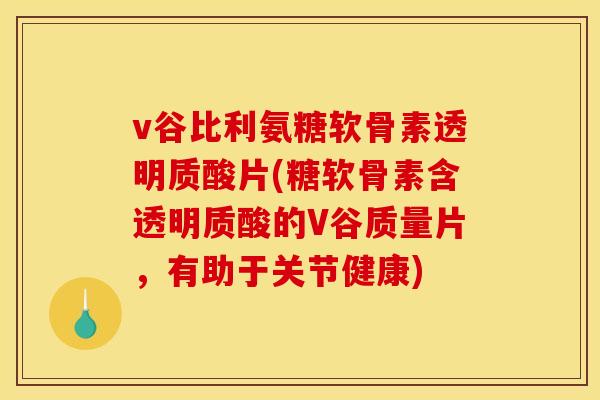 v谷比利氨糖软骨素透明质酸片(糖软骨素含透明质酸的V谷质量片，有助于关节健康)