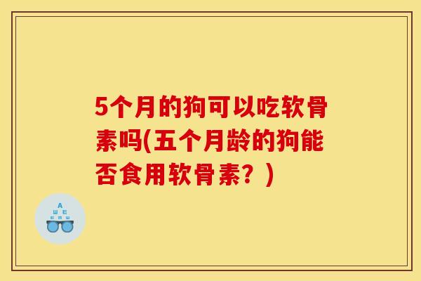 5个月的狗可以吃软骨素吗(五个月龄的狗能否食用软骨素？)