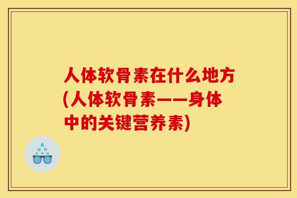 人体软骨素在什么地方(人体软骨素——身体中的关键营养素)