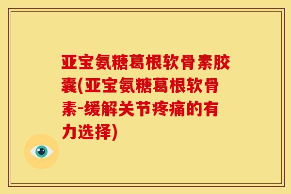 亚宝氨糖葛根软骨素胶囊(亚宝氨糖葛根软骨素-缓解关节的有力选择)