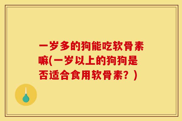 一岁多的狗能吃软骨素嘛(一岁以上的狗狗是否适合食用软骨素？)
