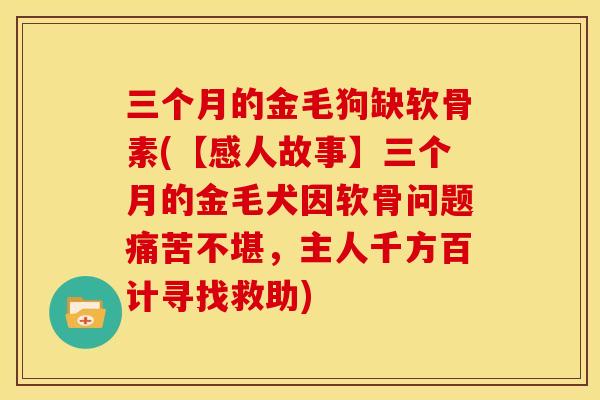 三个月的金毛狗缺软骨素(【感人故事】三个月的金毛犬因软骨问题痛苦不堪,主人千方百计寻找救助) 三个月的金毛狗缺软骨素(【感人故事】三个月的金毛犬因软骨问题痛苦不堪,主人千方百计寻找救助)