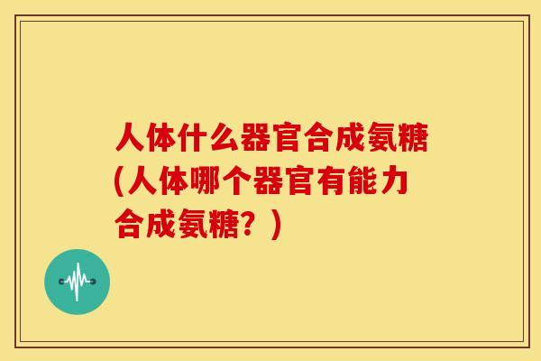 人体什么器官合成氨糖(人体哪个器官有能力合成氨糖？)