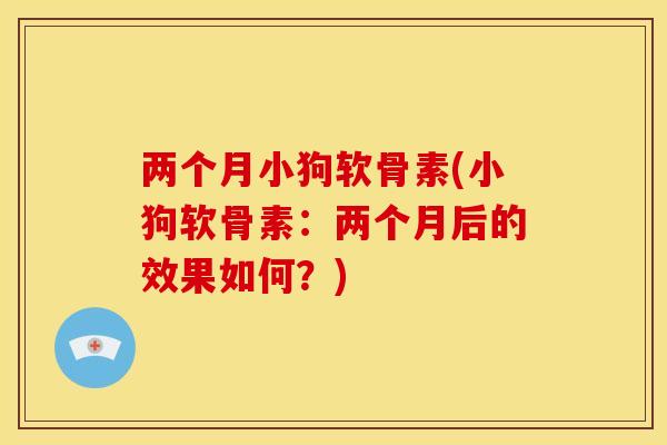 两个月小狗软骨素(小狗软骨素：两个月后的效果如何？)